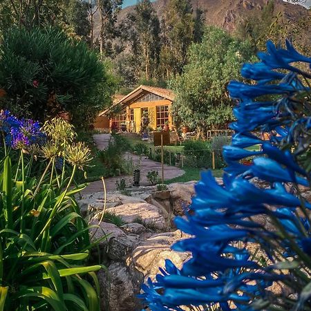Andean Wings Valley Urubamba Zewnętrze zdjęcie