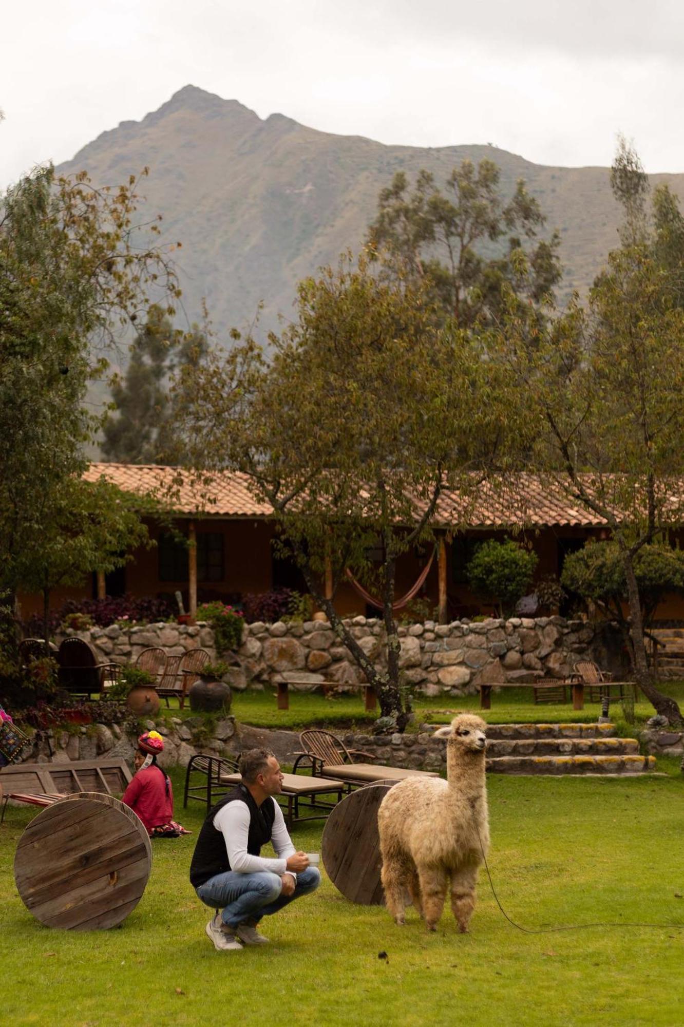 Andean Wings Valley Urubamba Zewnętrze zdjęcie